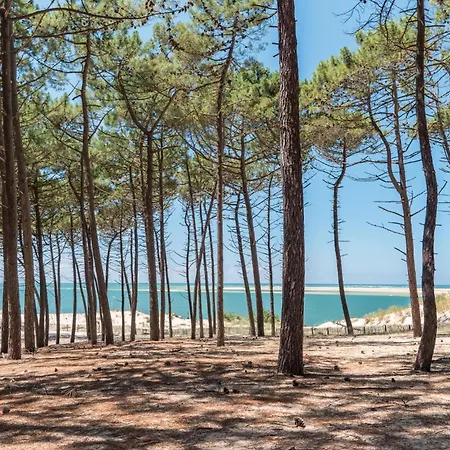 Smukt Hjem I Lège-cap-ferret Lège-Cap-Ferret